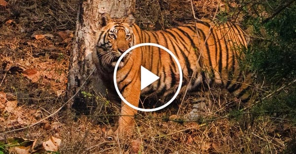 Gabriela Bhaskar visits two locations from The New York Times’s 52 Places to Go 2026 — Static01.nyt.com