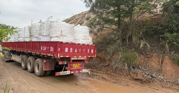 China signals possible rare-earth export curbs to Japan — Static01.nyt.com