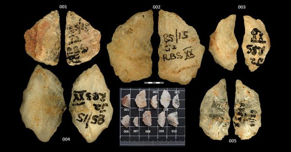 Poison residues found on 60,000-year-old arrow tips in South Africa — Static01.nyt.com