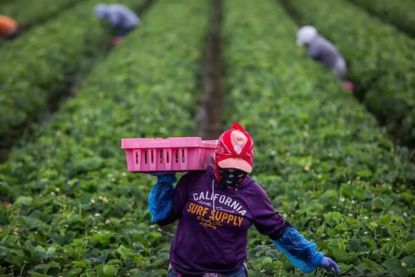 Migrant women face pervasive sexual violence tied to precarious work — Api.time.com