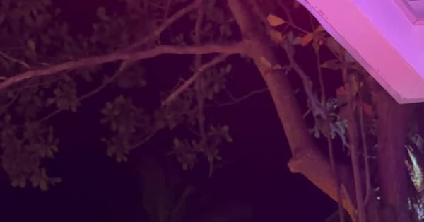 Russian Tourists Flock to Hainan’s Sanya After Beijing Eases Visas — Static01.nyt.com