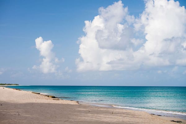 56-Year-Old Minnesota Woman Dies After Suspected Shark Attack at St. Croix Beach — People.com
