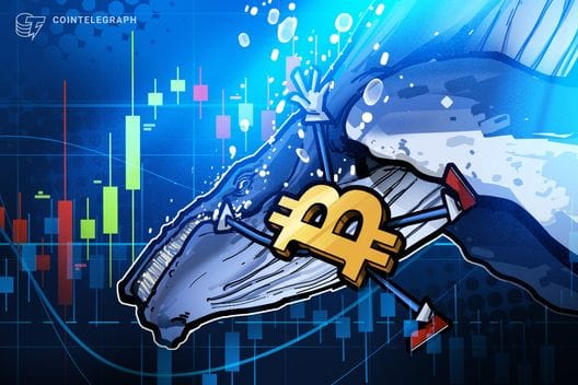 OG whales spent $286M as Bitcoin seeks to extend breakout above $90,000 — Images.cointelegraph.com
