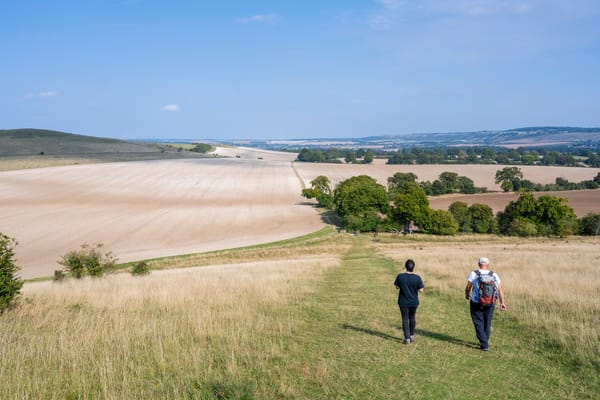Small daily lifestyle changes linked to longer life in two studies — Static.independent.co.uk