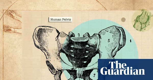 Physiotherapists set out everyday steps to protect pelvic floor health — I.guim.co.uk