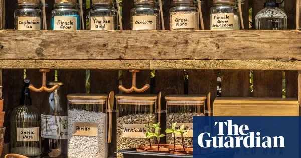 January is a good time to sort garden seeds, inspired by Monty Don — I.guim.co.uk