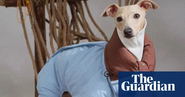 UK demand for dog coats rises as cold, wet weather boosts sales — I.guim.co.uk