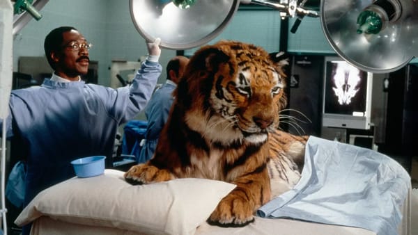 Eddie Murphy’s Dr. Dolittle leaves Netflix January 31; sequel still available — Static0.polygonimages.com