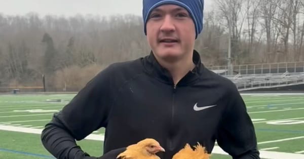 Tyler County runner completes mile while carrying two chickens — Static01.nyt.com