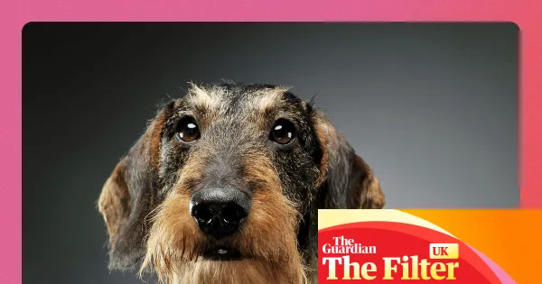 The Filter gathers reader tips for lifting the January blues — I.guim.co.uk