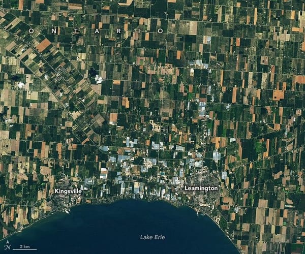 Greenhouse growth around Leamington has altered land cover and night skies — Assets.science.nasa.gov
