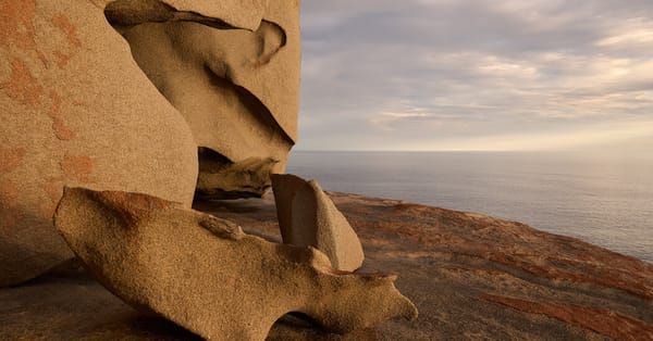 Visitor notes wildlife, recovery and development on Kangaroo Island — Static01.nyt.com