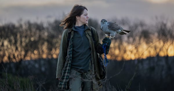 Claire Foy and a goshawk headline adaptation of Helen MacDonald memoir — Static01.nyt.com