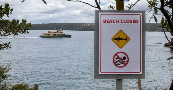 12-year-old dies after shark bite at Vaucluse beach near Sydney — Static01.nyt.com