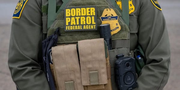 AFL-CIO urges ICE to leave Minnesota after federal agent shot Alex Pretti — I.insider.com