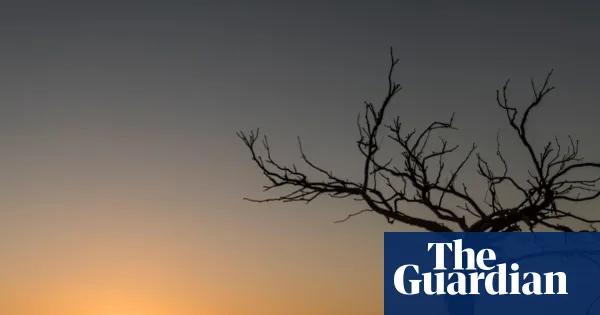Heatwave scorches South Australia as Victoria faces possible record highs and evacuations — I.guim.co.uk