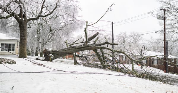 Freezing storm strains U.S. power grid as hundreds of thousands lose electricity — Static01.nyt.com