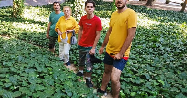 Rights groups say Iran killed thousands of protesters — Static01.nyt.com