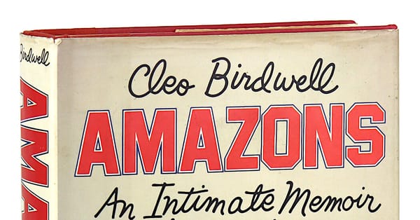 Don DeLillo wrote 1980 erotic hockey novel 'Amazons' under a pen name — Static01.nyt.com