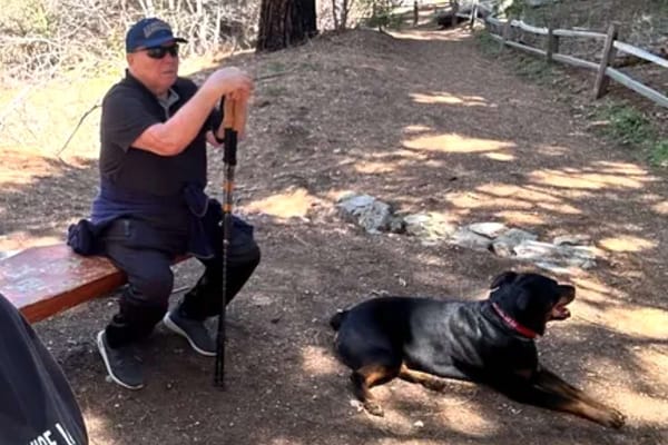 Holocaust survivor Andriy Korshunov, 80, and his dog killed in LA hit-and-run — People.com