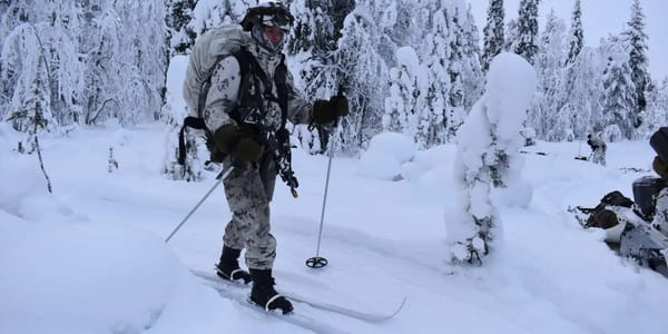 Finland trains NATO troops in Arctic warfare with skis, snowmobiles and lasers — I.insider.com