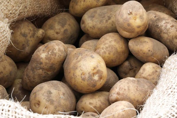 76,000 Pounds of Potatoes Spill on I-15 After Nevada Semi Crash — People.com
