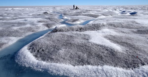 Algae blooms on Greenland’s ice are darkening surfaces and speeding melt, studies say — Static01.nyt.com