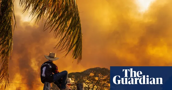 Lalo de Almeida documents Pantanal wildfires in 2020 and again in 2024 — I.guim.co.uk