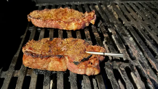 Meater Pro review: $130 smart thermometer that reduces cooking anxiety — Zdnet.com