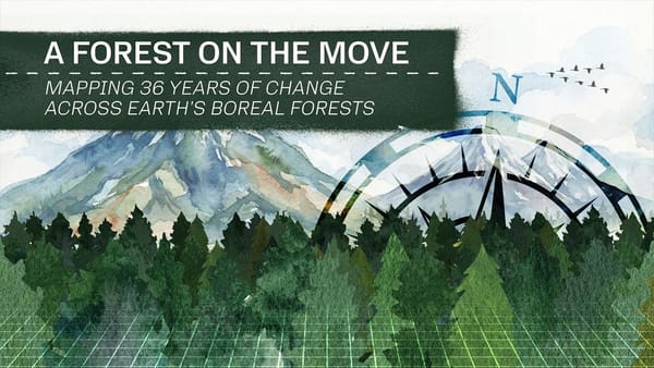 Boreal forests shifted north and expanded over four decades — NASA Science