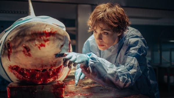 Alexandra Aja to Direct Netflix Sequel to Under Paris — Movieweb
