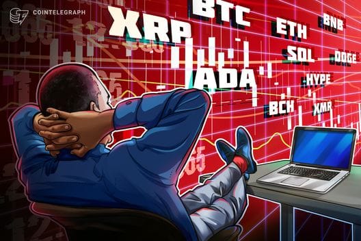 Bitcoin, altcoins rally: is it a dead cat bounce? — Cointelegraph.com News