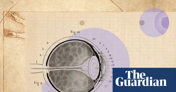 Green time over screen time: how to look after your eyes — Lifestyle | The Guardian