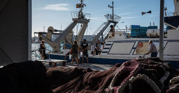 From Fishing Nets to Furniture: Turning Ocean Plastic Into Usable Products — NYT > Business