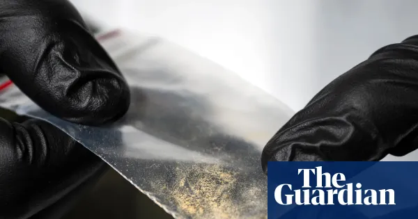 Synthetic opioids may have caused hundreds more UK deaths than thought — World news | The Guardian