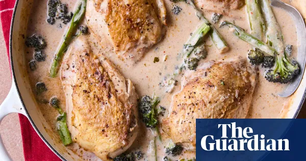 Quick creamy chicken and mustard fricassee — Lifestyle | The Guardian
