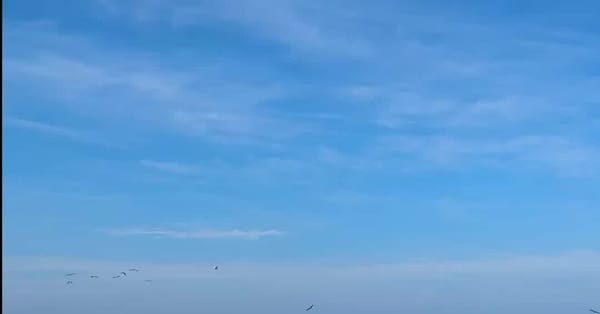 Visiting Riviera Nayarit in Mexico — NYT > Travel