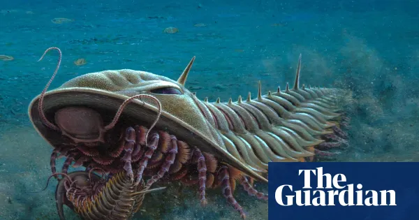 Kangaroo Island fossils inspire new stamp series — World news | The Guardian