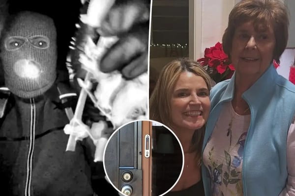 Expert: 'Rookie' suspect made grave error in Nancy Guthrie case — Pagesix