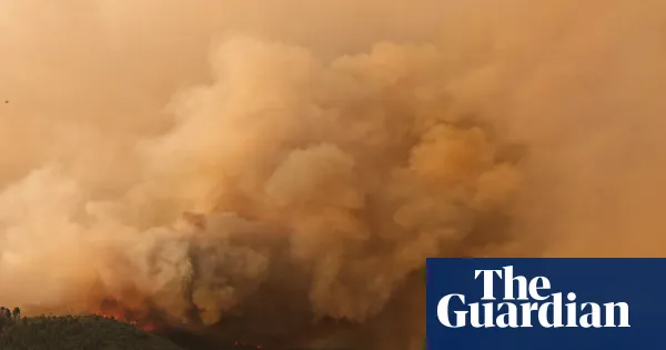 Some of world’s oldest trees hit by climate-fuelled wildfires in Patagonia — World news | The Guardian