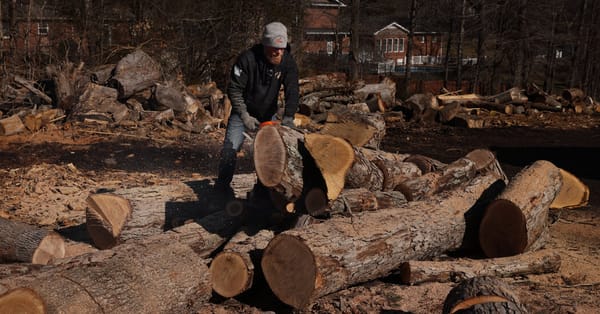 Shivering Americans Snap Up Firewood as Winter Grinds On — NYT > Business > Energy & Environment