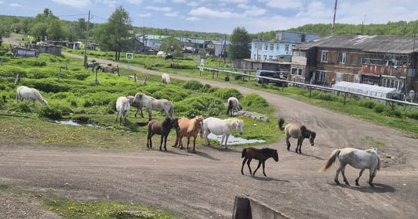 A Russian ‘Village of Military Valor’ Waits for Its Reward — NYT > World News