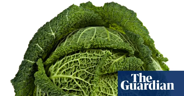 Cabbagecore: why fashionable people are going wild for cabbage — Lifestyle | The Guardian