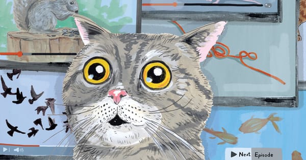 TV, It’s Not Just for Humans Anymore — NYT > Science