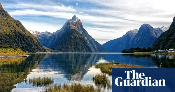 Wealthy Americans lead surge in New Zealand 'golden visa' applications — World news | The Guardian