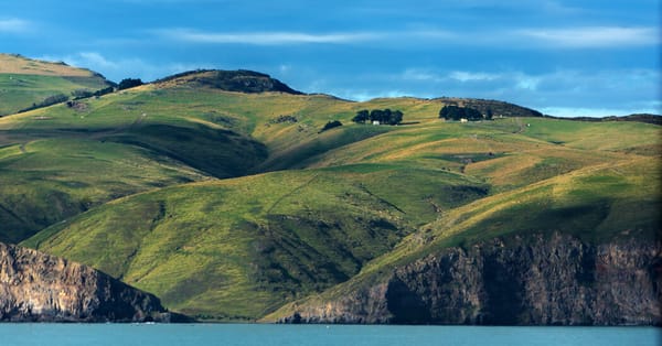 An Antarctic Expedition Ends in New Zealand — NYT > Science