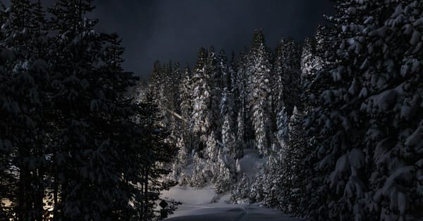 Multiple Victims Tied to Sugar Bowl Academy in Sierra Nevada Avalanche — NYT > U.S. News