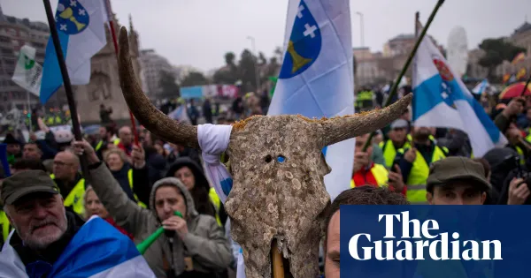 Study finds EU subsidies favour beef and lamb over legumes 580-fold — World news | The Guardian