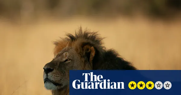 Cecil: The Lion and the Dentist review — Culture | The Guardian