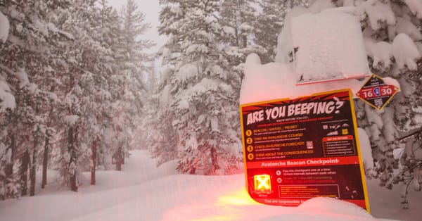 Was Anyone at Fault in Sierra Nevada Avalanche Deaths? — NYT > U.S. News
